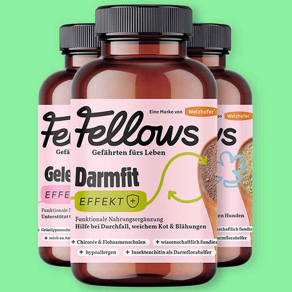 b2b_fellows doplnky velke